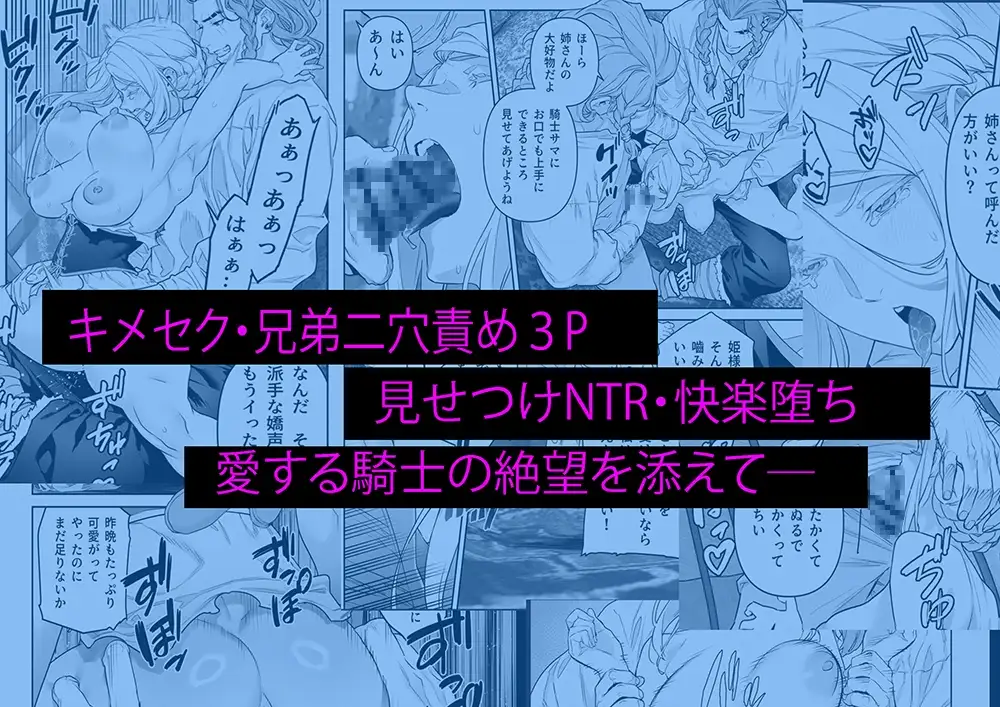 蛮族の花嫁～堕ちた姫君～